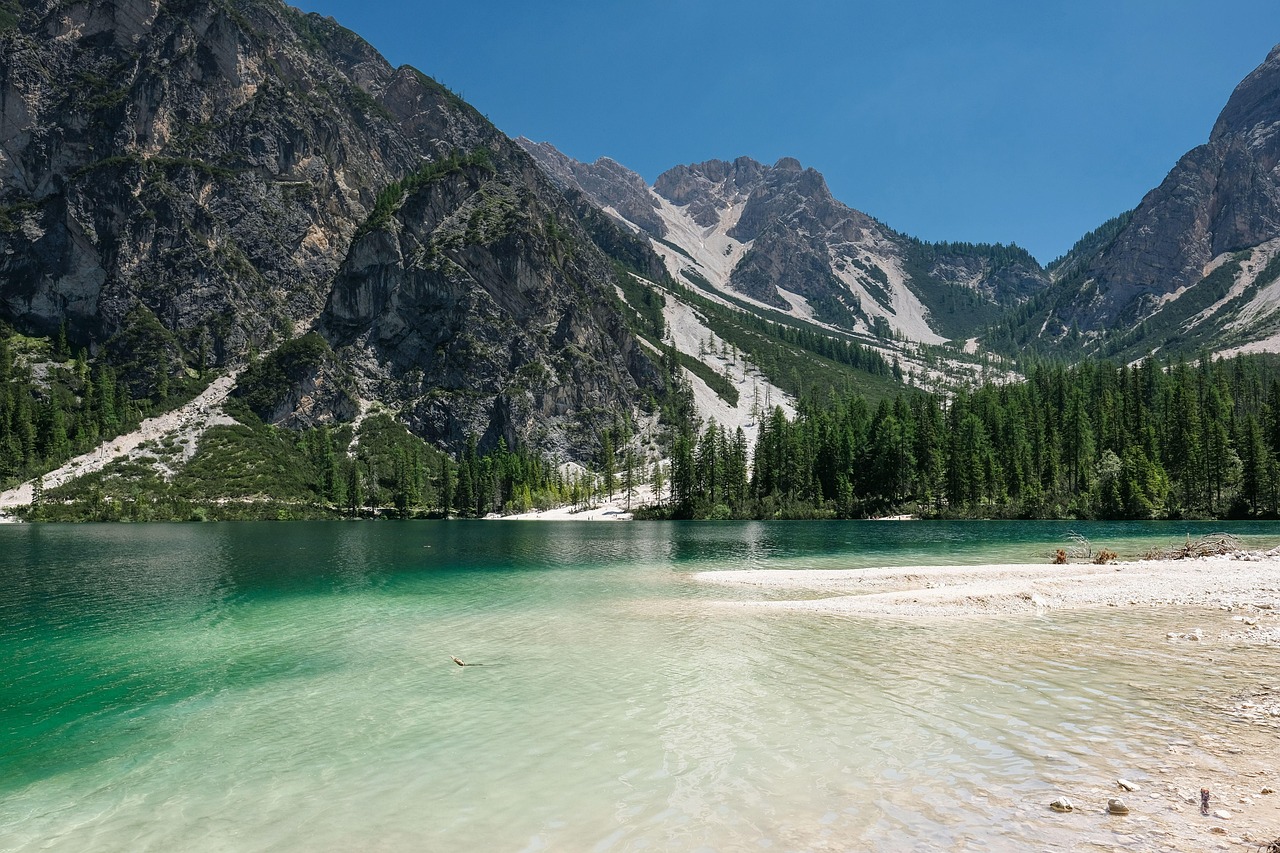 erleben sie mit 'dream' eine inspirierende reise durch träume, kreativität und fantasie. lassen sie sich von neuen ideen und innovativen möglichkeiten begeistern. perfekt für alle, die sich nach inspiration und motivation sehnen.