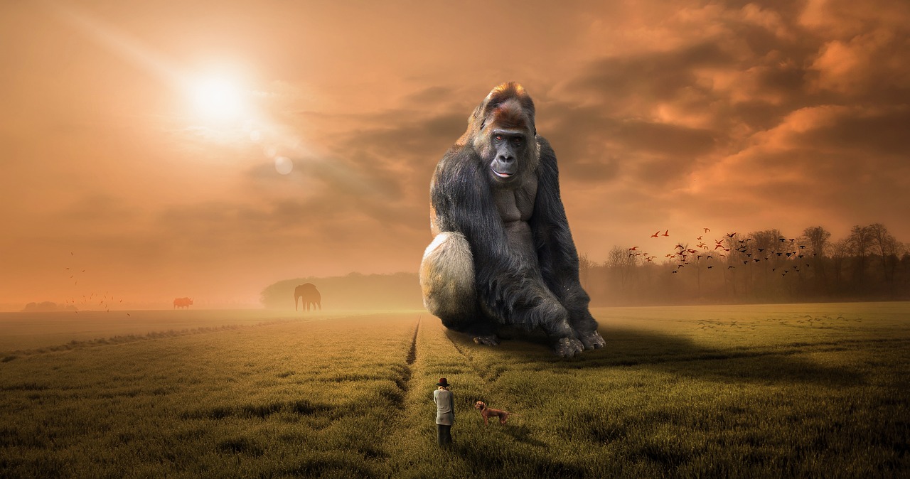 entdecken sie die welt der träume: bedeutung, tipps zur traumanalyse und inspirierende ideen für einen erholsamen schlaf. lassen sie sich von neuen perspektiven rund um dream inspirieren!