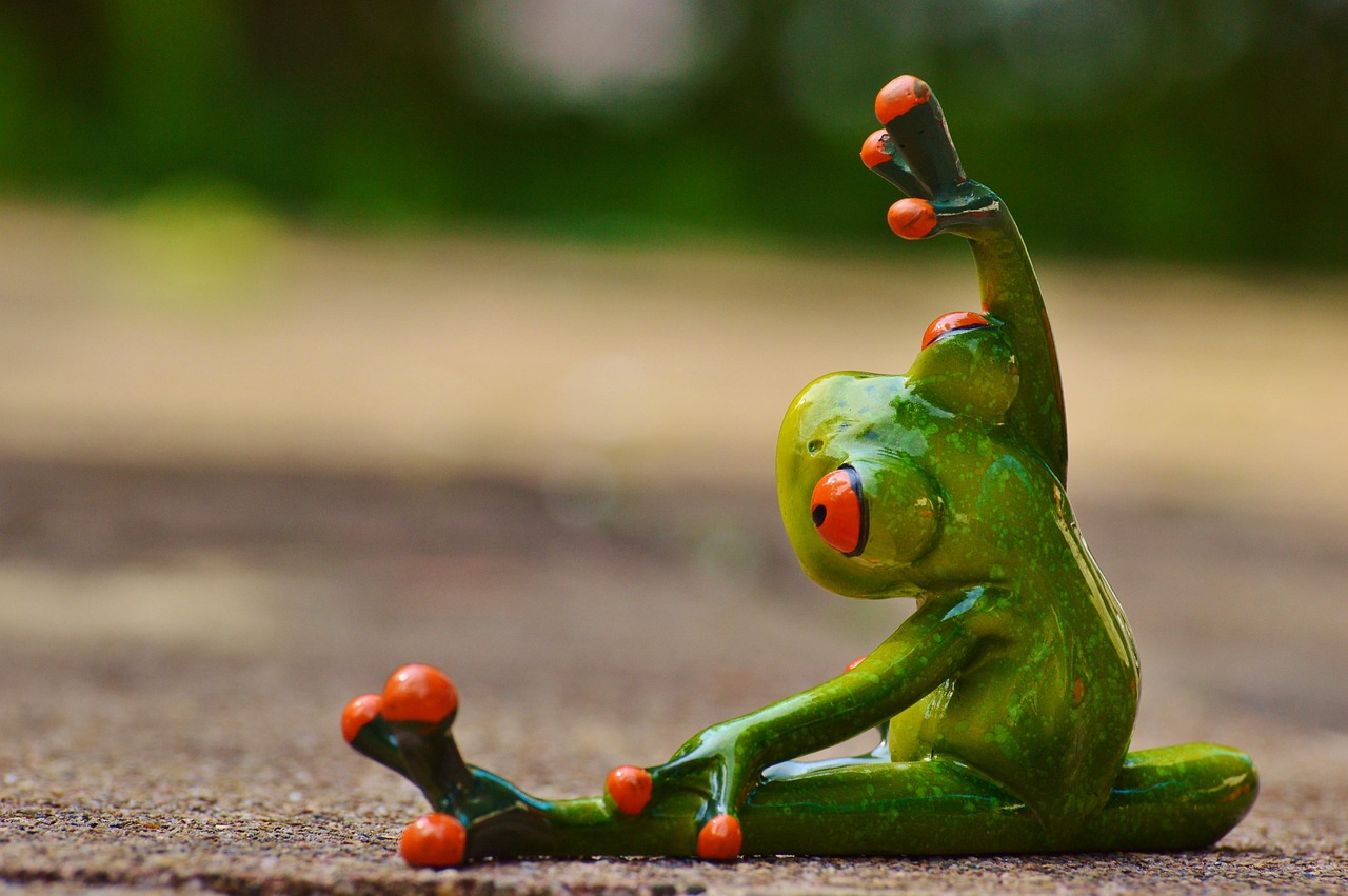 entdecken sie alles rund um fitness: tipps für effektives training, gesunde ernährung, motivation und innovative workouts für anfänger und fortgeschrittene. starten sie noch heute ihren weg zu mehr gesundheit und wohlbefinden!