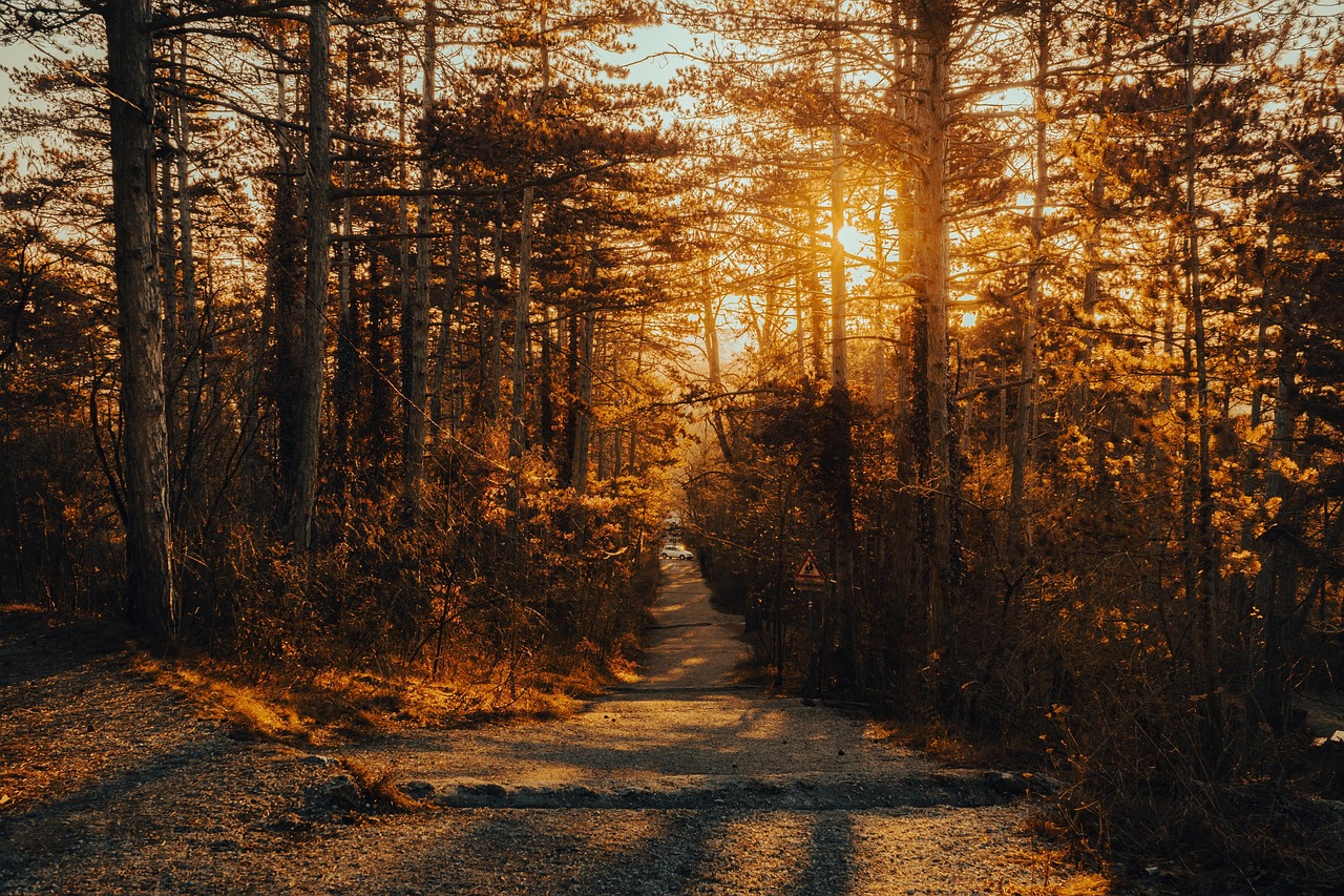 entdecken sie die besten wanderwege, tipps und ausrüstung für ihr nächstes hiking-abenteuer. erleben sie die natur hautnah und genießen sie unvergessliche wandertouren in deutschland und weltweit.