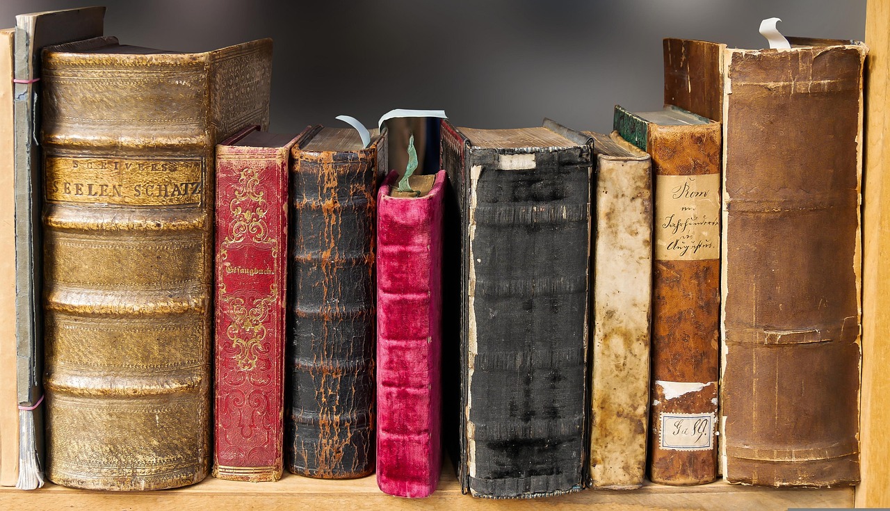 entdecken sie umfassende informationen und nützliches wissen rund um verschiedene fachgebiete. bleiben sie mit aktuellen erkenntnissen und tipps bestens informiert.