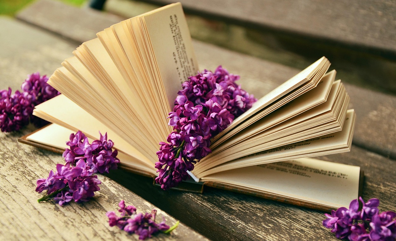 entdecken sie faszinierende werke der literatur, spannende klassiker und neue buchveröffentlichungen. tauchen sie ein in die welt der romane, poesie und erzählungen – inspiration und lesetipps für alle bücherliebhaber.