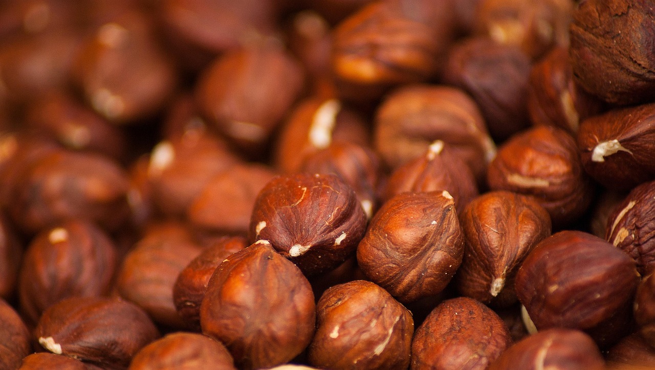 entdecken sie alles rund um protein: bedeutung, vorteile, quellen und wie sie ihren täglichen bedarf optimal decken können. bleiben sie gesund und fit mit wertvollen proteintipps!