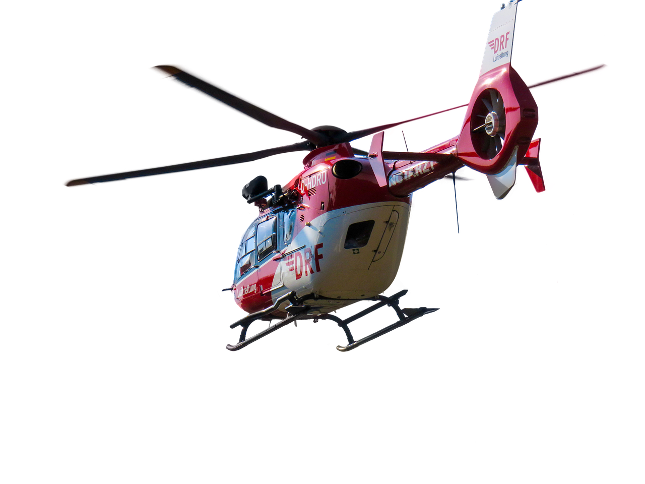 entdecken sie alles rund um rescue: wichtige informationen, tipps und hilfsmittel für notfälle und rettungssituationen. bleiben sie vorbereitet und sicher mit unseren expertenratgebern.
