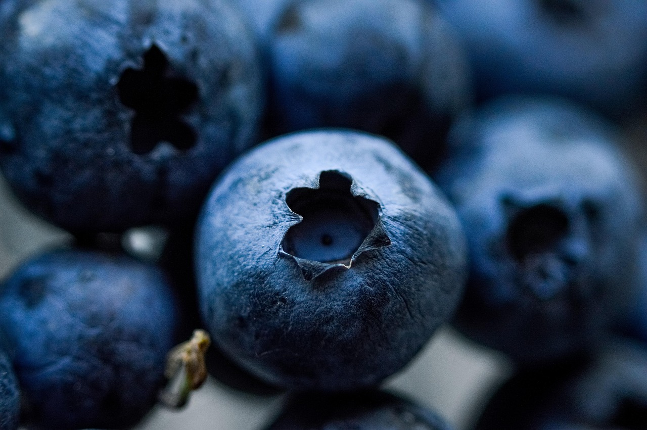 entdecken sie die welt der superfoods: nährstoffreiche lebensmittel für mehr energie, gesundheit und wohlbefinden. erfahren sie, welche superfoods besonders beliebt sind und wie sie einfach in den alltag integriert werden können.