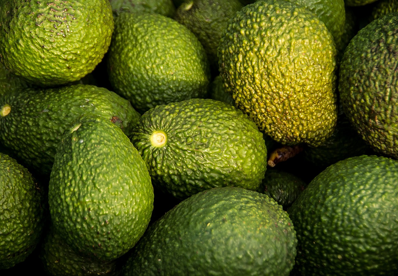 entdecken sie die welt der superfoods: natürliche lebensmittel, reich an nährstoffen, die ihr wohlbefinden und ihre gesundheit auf natürliche weise unterstützen. erfahren sie mehr über ihre vorteile und anwendung im alltag.