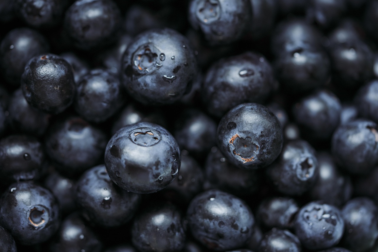 entdecken sie die welt der superfoods: erfahren sie alles über nährstoffreiche lebensmittel, ihre gesundheitlichen vorteile und wie sie superfoods einfach in ihren alltag integrieren können.