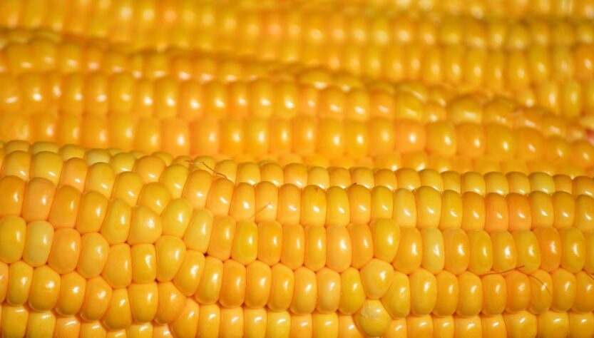 entdecken sie unvergessliche kulinarische erlebnisse mit vielfältigen geschmacksrichtungen und exquisiten gerichten aus aller welt.