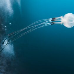 erleben sie unvergessliche abenteuer und aufregende entdeckungen in der welt voller spannung und herausforderung.