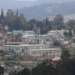 erfahren sie mehr über tollwut: ursachen, symptome, behandlung und prävention dieser gefährlichen virusinfektion.