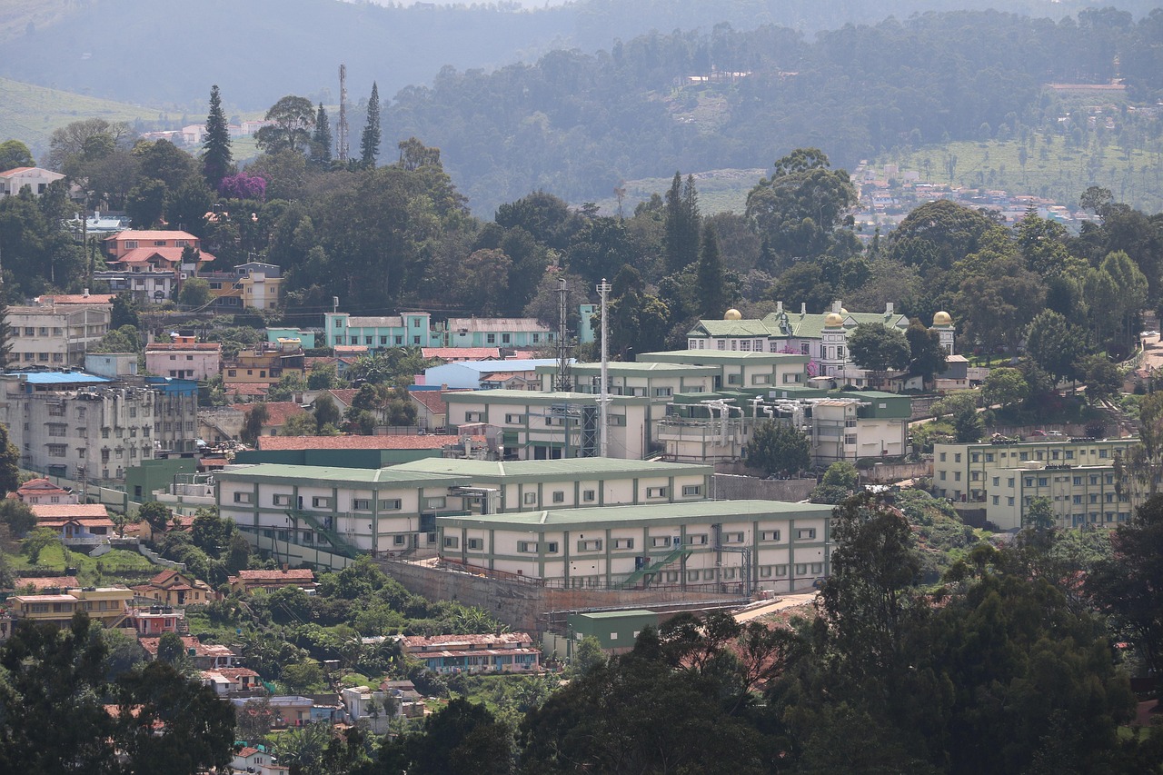 Achtung vor Tollwut auf Bali: Wichtige Hinweise f&uuml;r Reisende