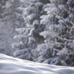 entdecken sie die jahreszeiten in neuseeland und erfahren sie mehr über das einzigartige klima und die besten reisezeiten dieses faszinierenden landes.