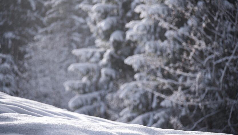 entdecken sie die jahreszeiten in neuseeland und erfahren sie mehr über das einzigartige klima und die besten reisezeiten dieses faszinierenden landes.