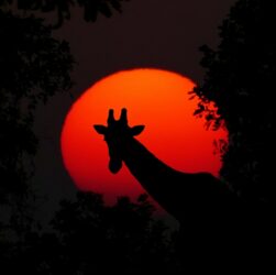 entdecken sie spannende abenteuer und unvergessliche erlebnisse rund um die welt. inspirierende reiseberichte, tipps und aktivitäten für abenteurer jeden alters warten auf sie!