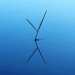 entdecken sie die highlights: die besten momente und wichtigsten ereignisse auf einen blick.