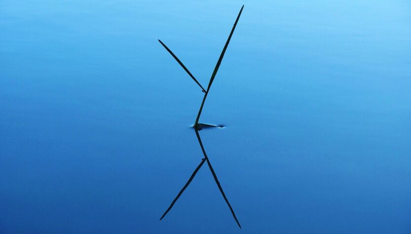 entdecken sie die highlights: die besten momente und wichtigsten ereignisse auf einen blick.