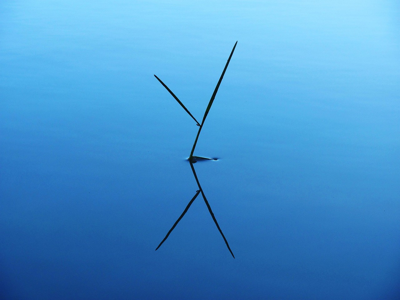 Flic Flac N&uuml;rnberg pr&auml;sentiert: Die aufregenden Highlights 2025/2026