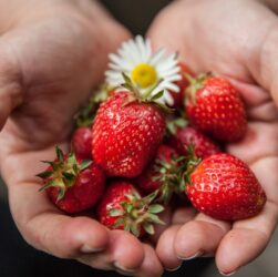 gesunde ernährung: entdecken sie wertvolle tipps und leckere rezepte für einen ausgewogenen und nährstoffreichen lebensstil.