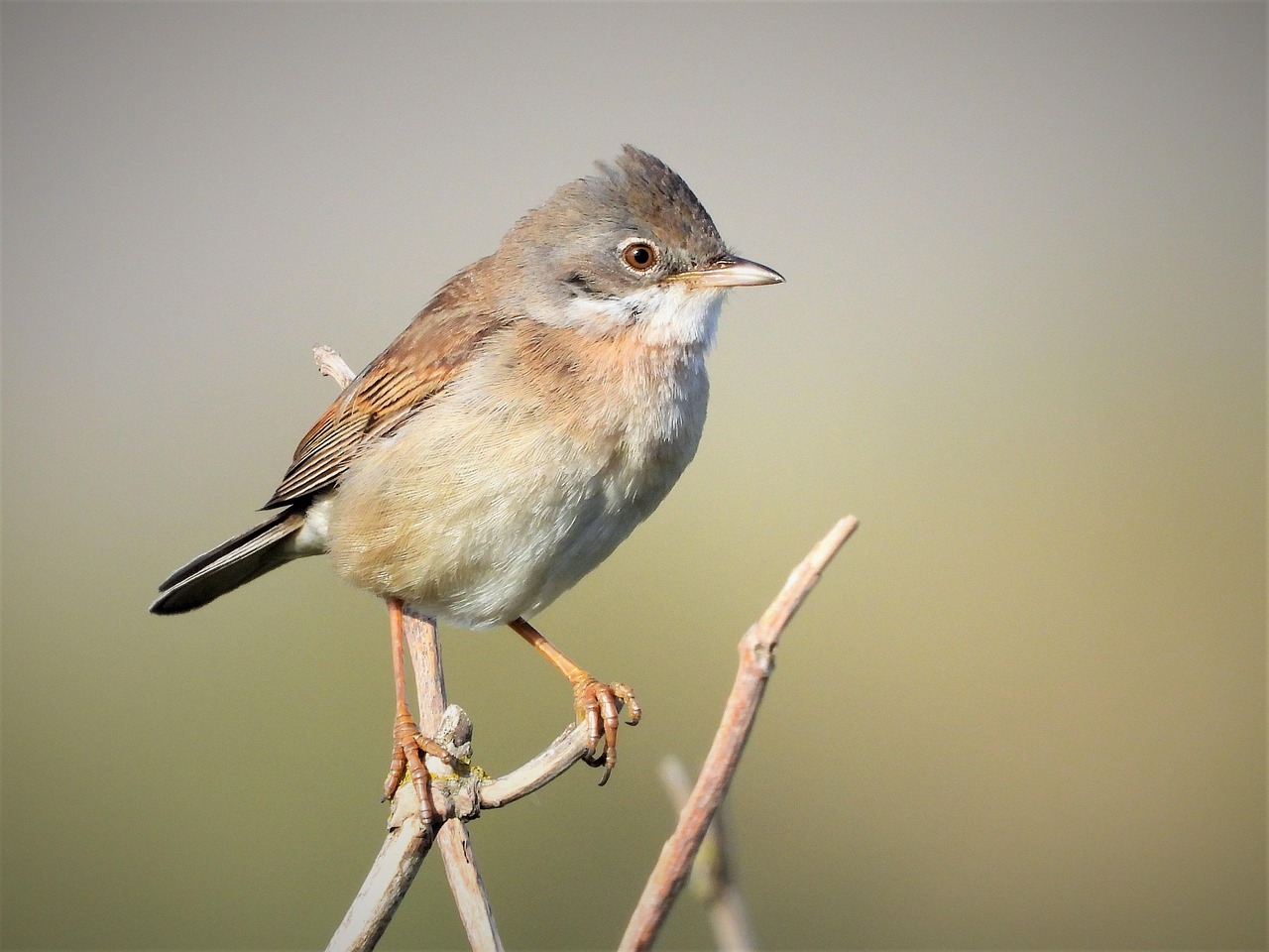 Heute Abend bei Markus Lanz: Die spannenden Gäste am 29. Oktober Heute Abend bei Markus Lanz: Die spannenden Gäste am 29. Oktober