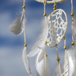 entdecken sie die vielfältige kultur: traditionen, kunst, geschichte und moderne einflüsse, die das gesellschaftliche leben prägen.