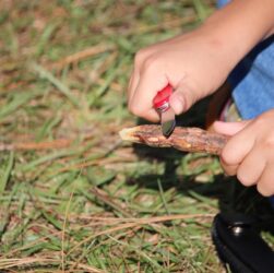 entdecken sie die welt der pfadfinder: abenteuer, teamgeist und naturerlebnis für junge menschen.