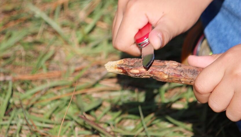 entdecken sie die welt der pfadfinder: abenteuer, teamgeist und naturerlebnis für junge menschen.