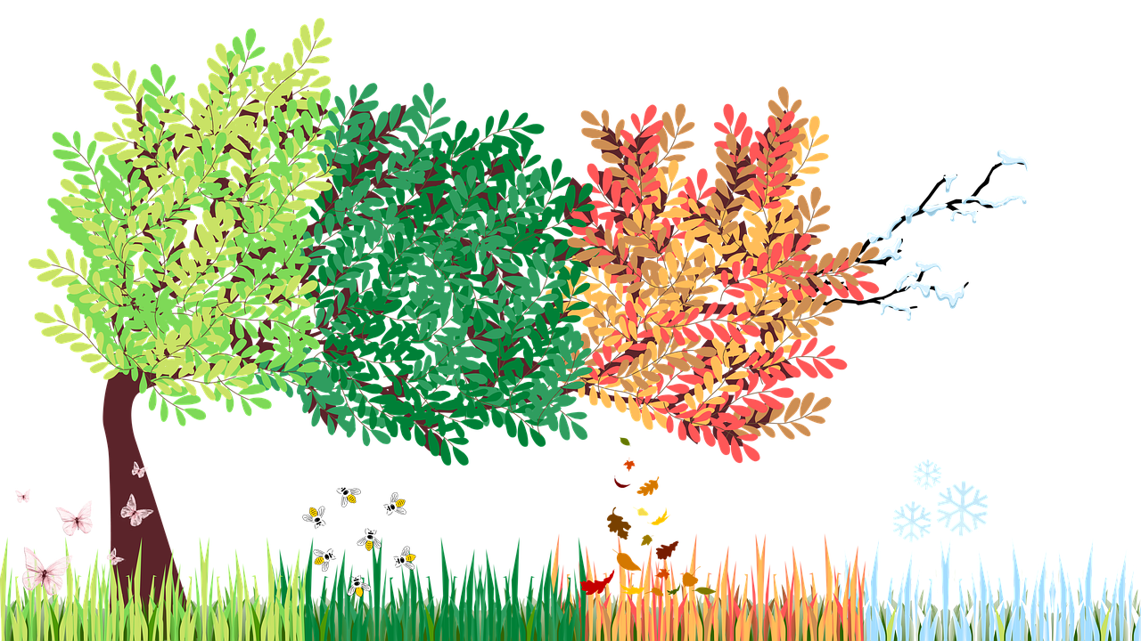 Winter-PR und Jahresplanung 2026: Mehr Reichweite durch gezielte Nutzung von Presse- und Fachportalen