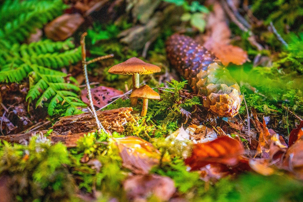 entdecken sie die vielschichtigen konflikte in deutschland und deren auswirkungen auf gesellschaft, politik und geschichte.