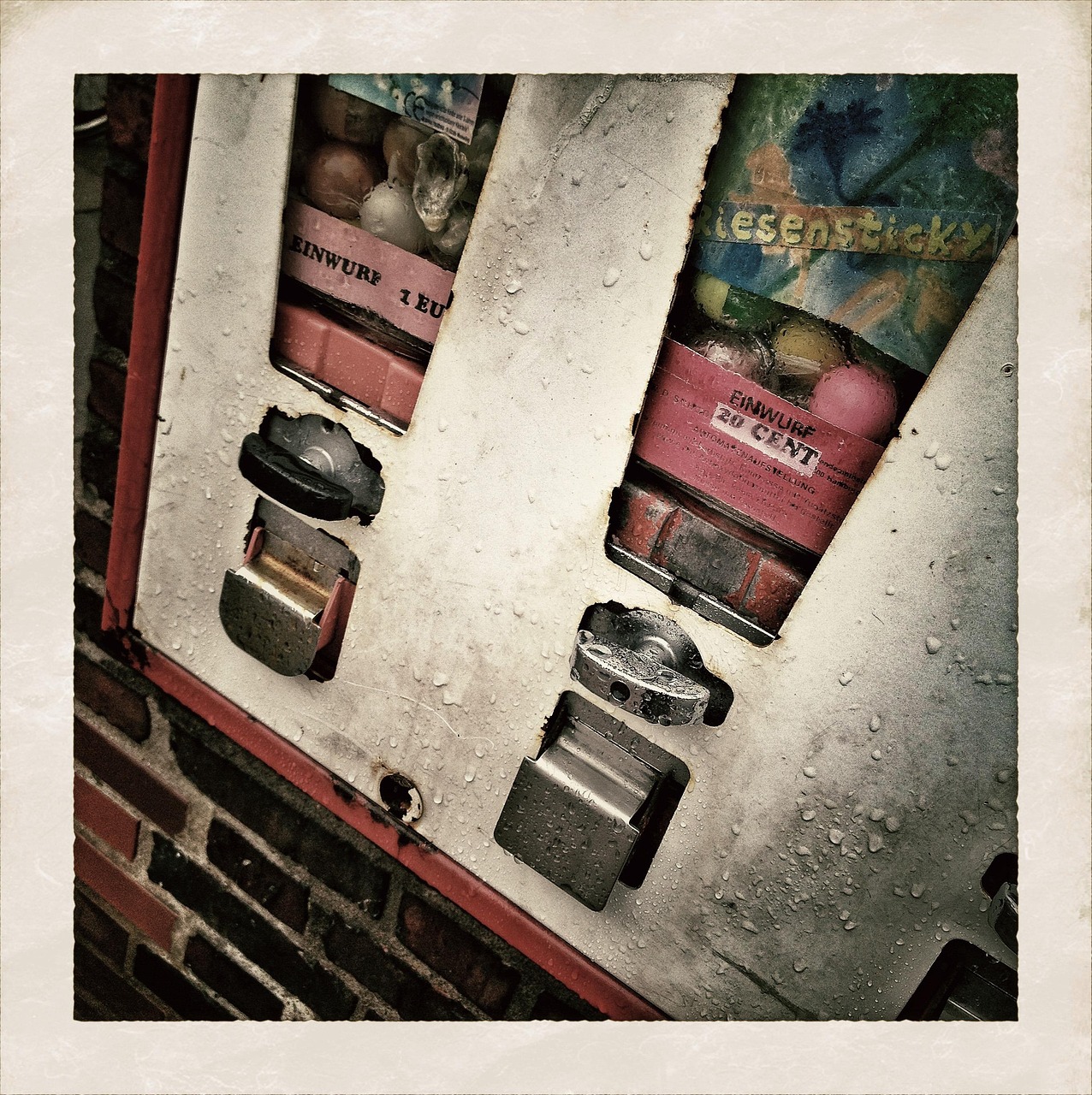 entdecken sie die faszinierende welt des prähistorischen kaugummis – uralte kaumasse, die wertvolle einblicke in die geschichte und das leben unserer vorfahren bietet.