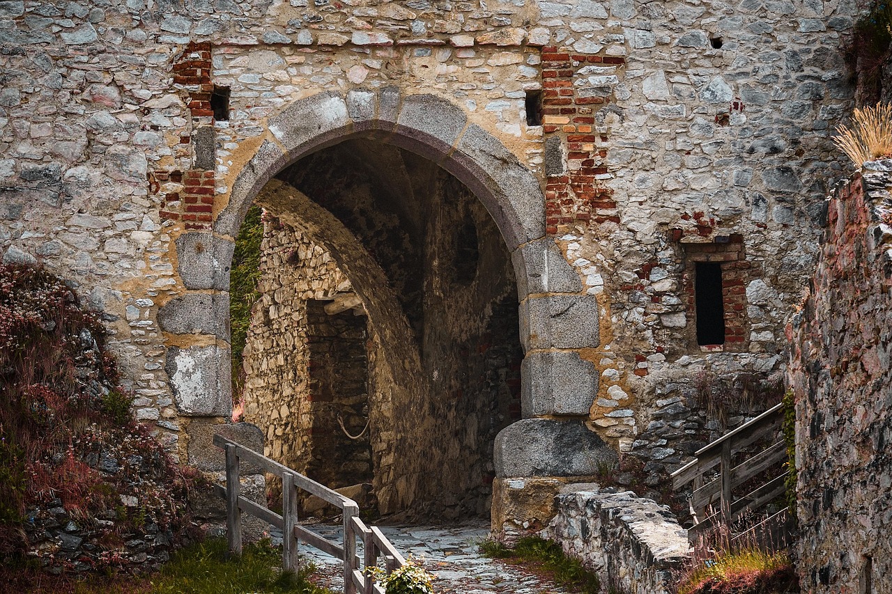 informationen über tollwut: symptome, übertragung, prävention und behandlung der gefährlichen viruserkrankung.