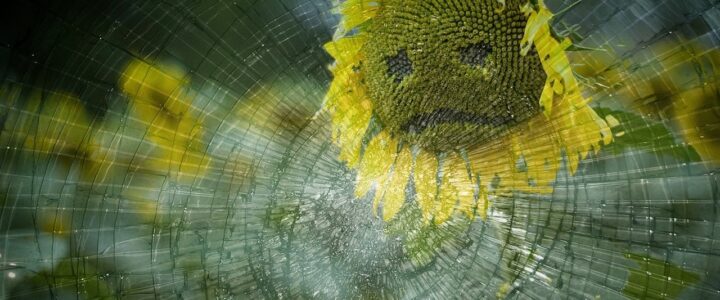 Das Sonnenblumen-Symbol erobert zunehmend deutsche Flugh&auml;fen