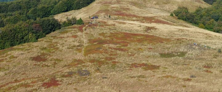 Entdecken Sie Polens neu eröffneten Baumwipfelpfad mit atemberaubender Aussicht Entdecken Sie Polens neu eröffneten Baumwipfelpfad mit atemberaubender Aussicht