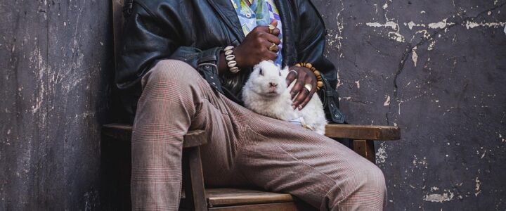 Quiz: Testen Sie Ihr Wissen über Kultur und Allgemeinbildung!