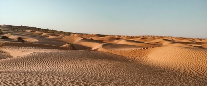 RT-Gruppe: Mein Reiseb&uuml;ro 24 erweitert Zugang f&uuml;r alle Reiseb&uuml;ros