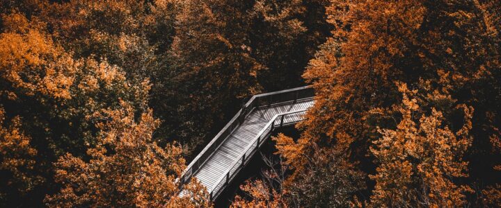 Seelenfrieden entdecken: So w&auml;hlst du das perfekte Hobby f&uuml;r dein Wohlbefinden