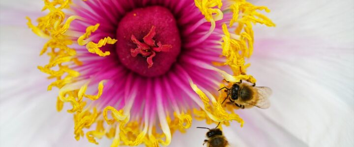 Weltpankreastag am 20. November: Bunte Illumination des Lukaskrankenhauses Neuss und Expertenberatung im Zertifizierten Niederrheinischen Pankreaszentrum Weltpankreastag am 20. November: Bunte Illumination des Lukaskrankenhauses Neuss und Expertenberatung im Zertifizierten Niederrheinischen Pankreaszentrum