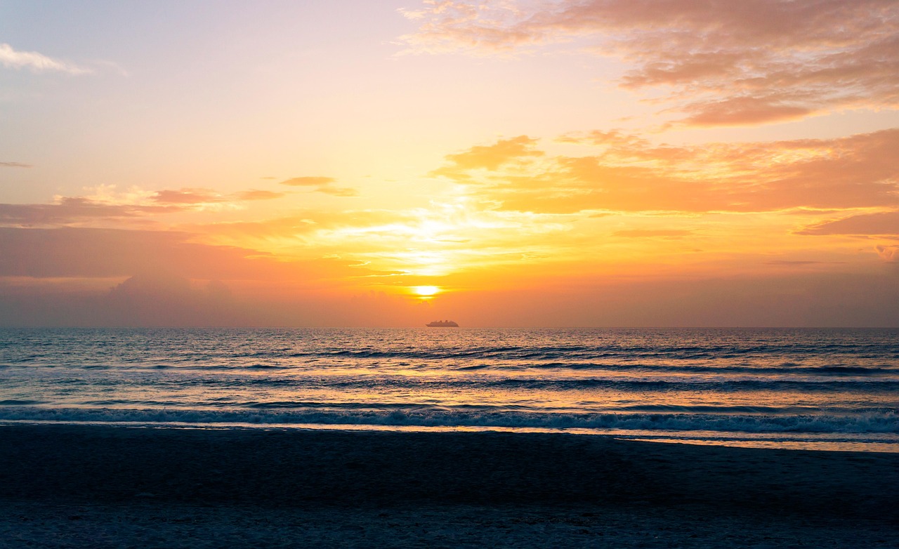 erfahren sie, welche lebensmittel an bord eines kreuzfahrtschiffs verboten sind und warum bestimmte nahrungsmittel nicht mitgenommen werden d&uuml;rfen.