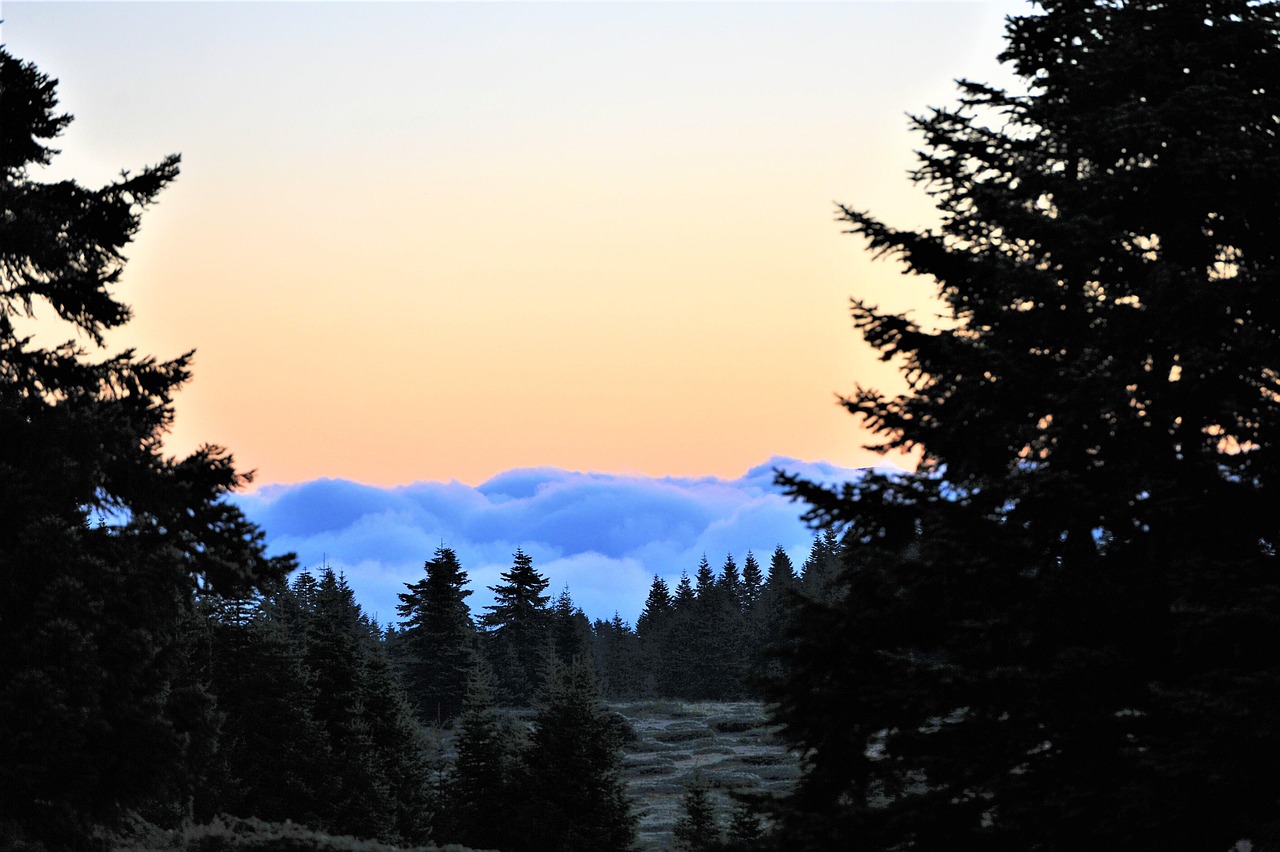 entdecken sie die waldkrippe: eine bezaubernde darstellung der weihnachtsgeschichte inmitten der natürlichen schönheit des waldes.