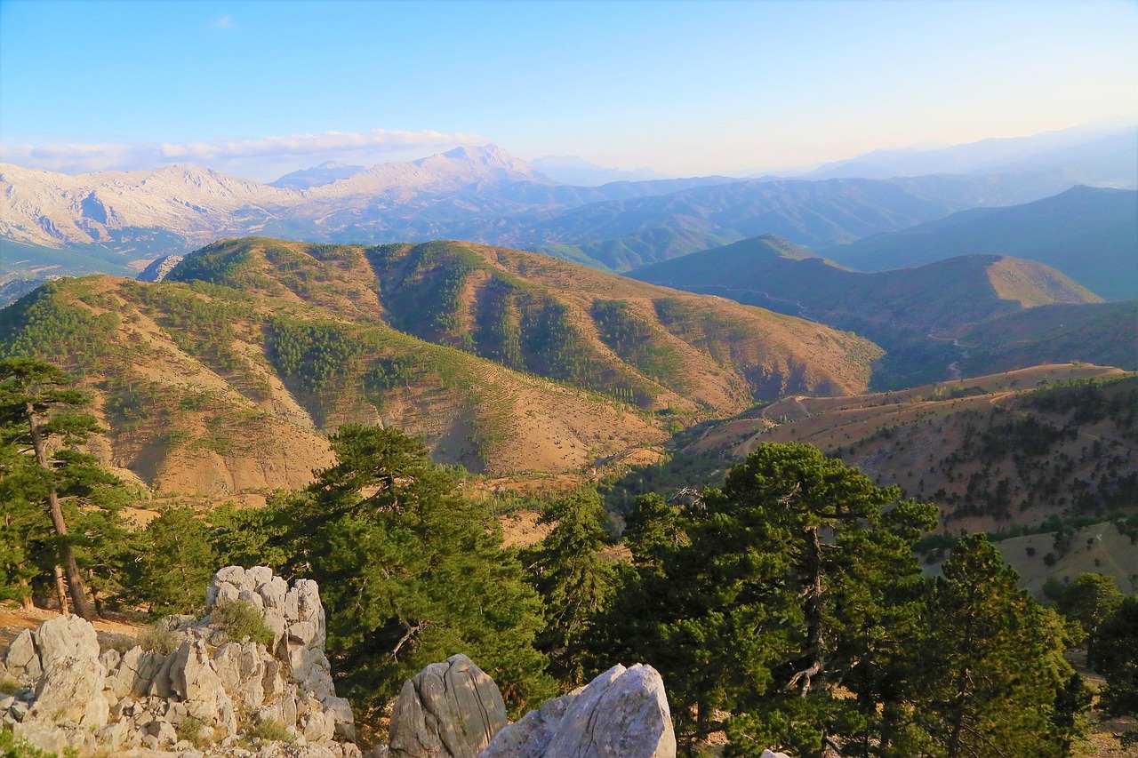erleben sie den atemberaubenden baumkronenpfad und entdecken sie die natur aus einer neuen perspektive &ndash; ideal f&uuml;r familien, abenteurer und naturliebhaber.