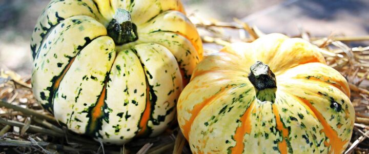 Aktuelle Brosch&uuml;re: Umfassender Leitfaden zu den Ern&auml;hrungsempfehlungen der DGE