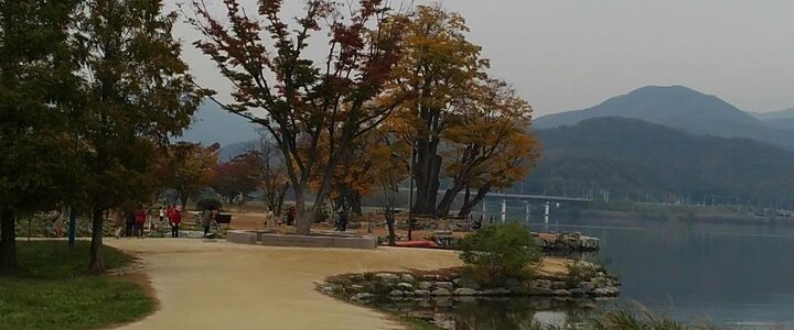 Doppelkopf-Fieber in Obernburg am Main: Offene Spielrunde f&uuml;r alle Kartentalente