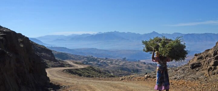 F&ouml;rderstunden schwinden, Verwaltungsaufw&uuml;chse wachsen