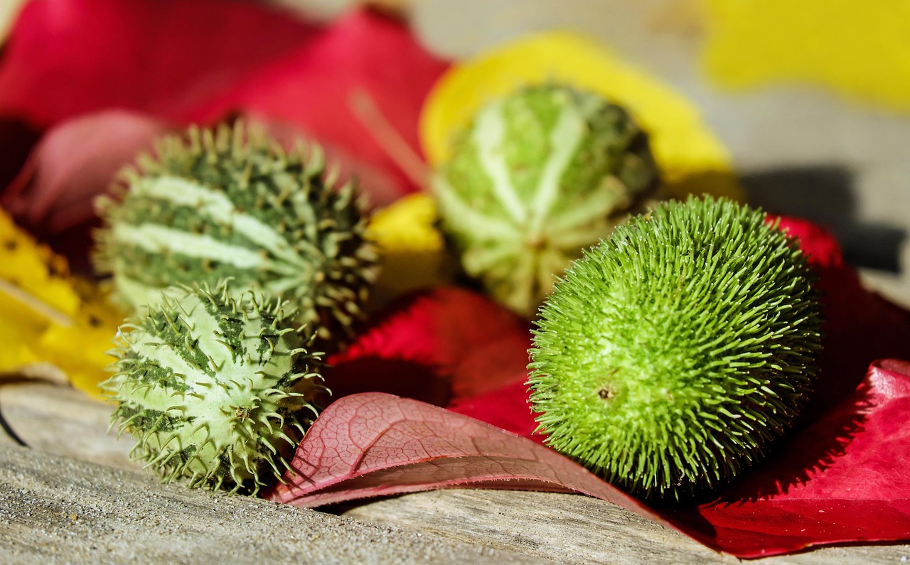 t&auml;glicher joghurtkonsum: entdecken sie die gesundheitlichen vorteile und wie regelm&auml;&szlig;iger joghurtgenuss zu einer ausgewogenen ern&auml;hrung beitragen kann.