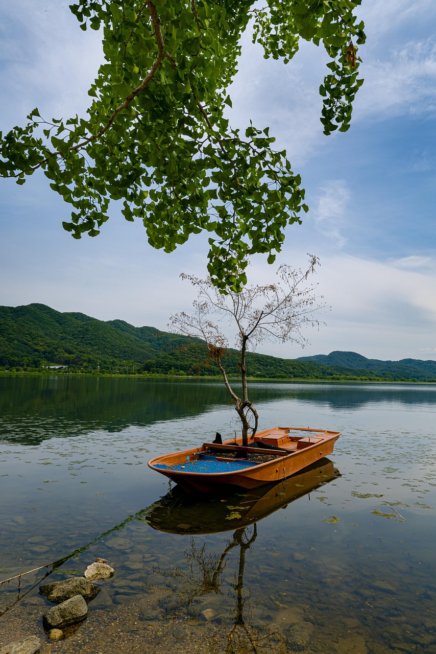 entdecken sie die welt von doppelkopf, dem beliebten kartenspiel aus deutschland. erfahren sie regeln, strategien und tipps, um ihre spielkunst zu verbessern und spannende partien mit freunden zu genie&szlig;en.