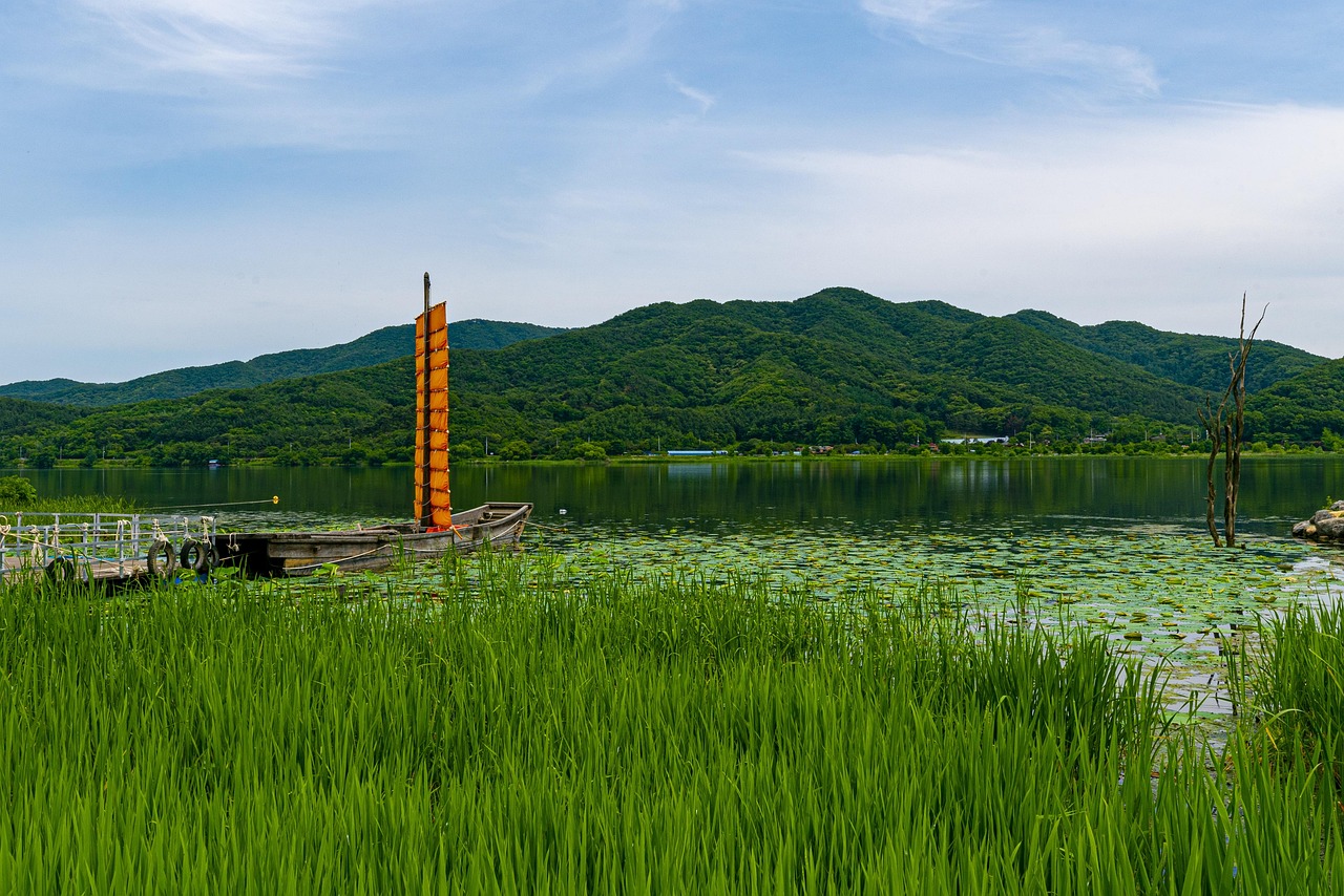 doppelkopf ist ein beliebtes deutsches kartenspiel f&uuml;r vier spieler, das strategisches denken und teamarbeit erfordert. entdecken sie regeln, tipps und spielvarianten!