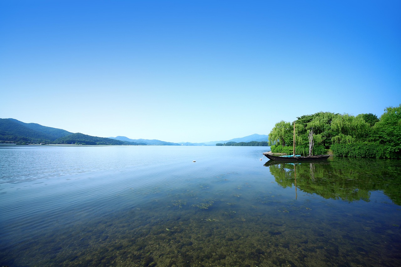 spielen sie doppelkopf &ndash; das beliebte deutsche kartenspiel f&uuml;r vier spieler. lernen sie regeln, strategien und entdecken sie tipps f&uuml;r spannende spielrunden.