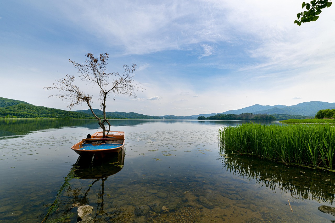 doppelkopf ist ein traditionelles deutsches kartenspiel f&uuml;r vier spieler, bekannt f&uuml;r seine strategische tiefe und abwechslungsreichen spielregeln. perfekt f&uuml;r spieleabende und spa&szlig; mit freunden.