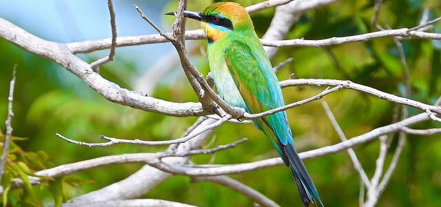 Allgemeinwissen-Quiz: Testen Sie Ihr Wissen – Wie viel kennen Sie wirklich? Allgemeinwissen-Quiz: Testen Sie Ihr Wissen – Wie viel kennen Sie wirklich?