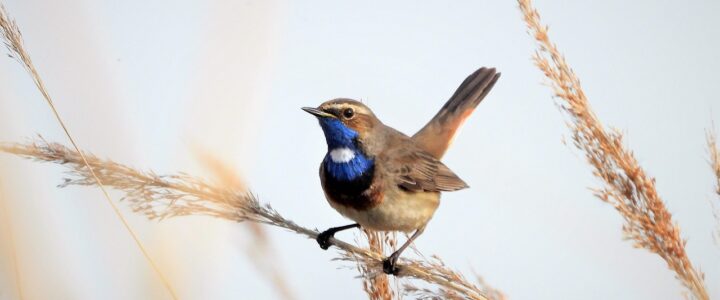 Diese Pers&ouml;nlichkeiten begr&uuml;&szlig;t Markus Lanz heute am 24. September in seiner Sendung