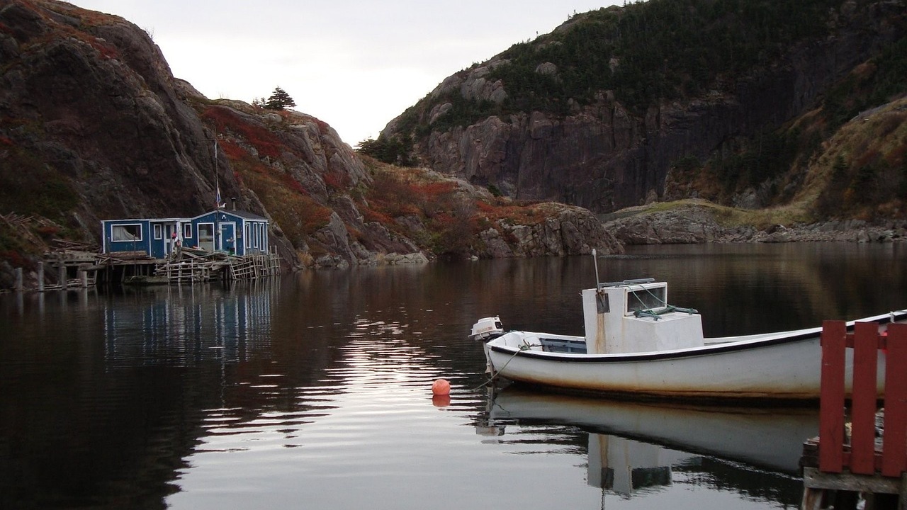 erfahren sie alles &uuml;ber darmgesundheit: tipps, ern&auml;hrung und lebensstil f&uuml;r ein gesundes verdauungssystem.